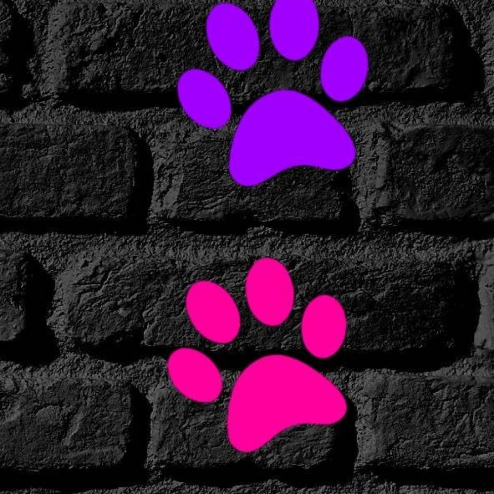 Meet your Posher, Anita